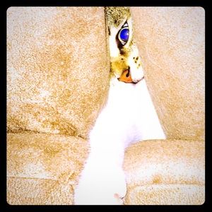 🐱Mia is so happy to be a POSHER 🐱